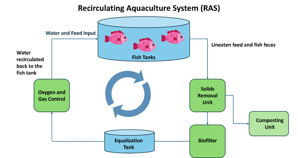 Figure 2. Recirculating aquaculture system