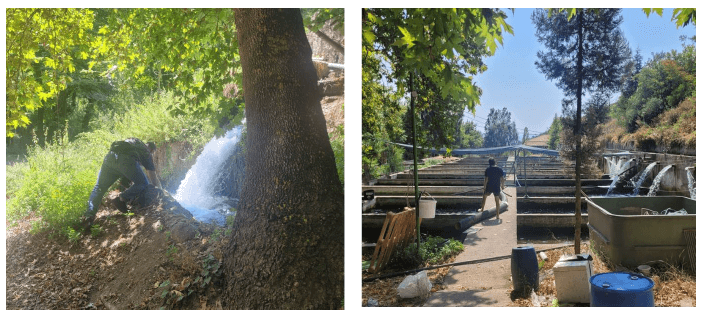 Figure 2. Facility’s water source and distribution