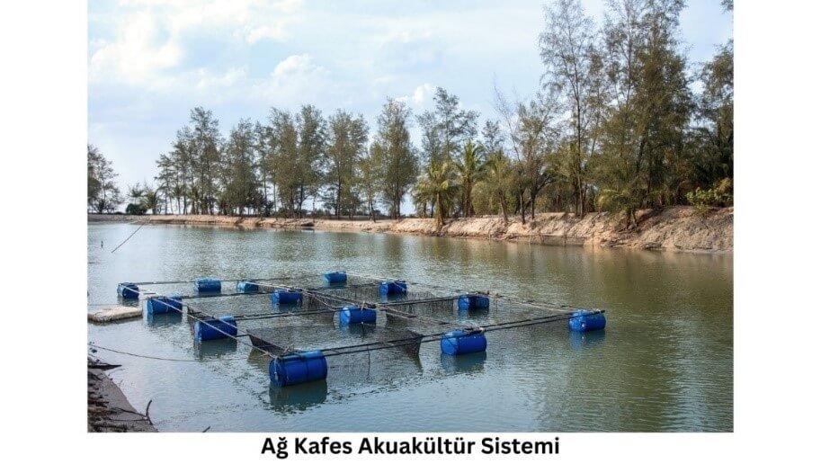 Figure 3. Example of an aquaculture system conducted in net Cages