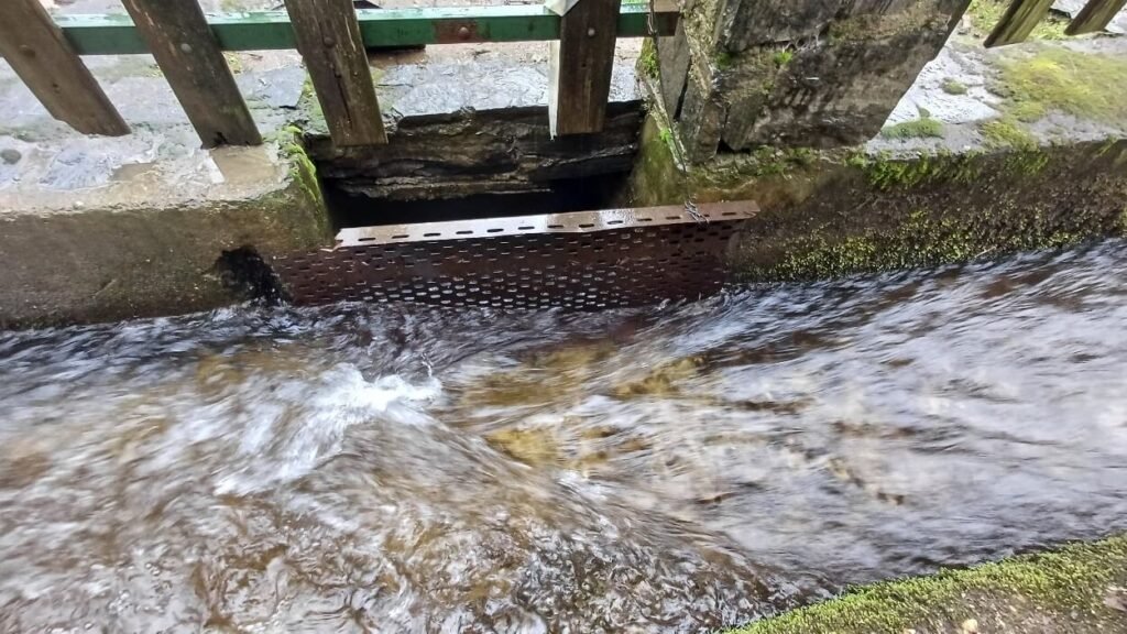 Figure 8. Screen located at the facility entrance