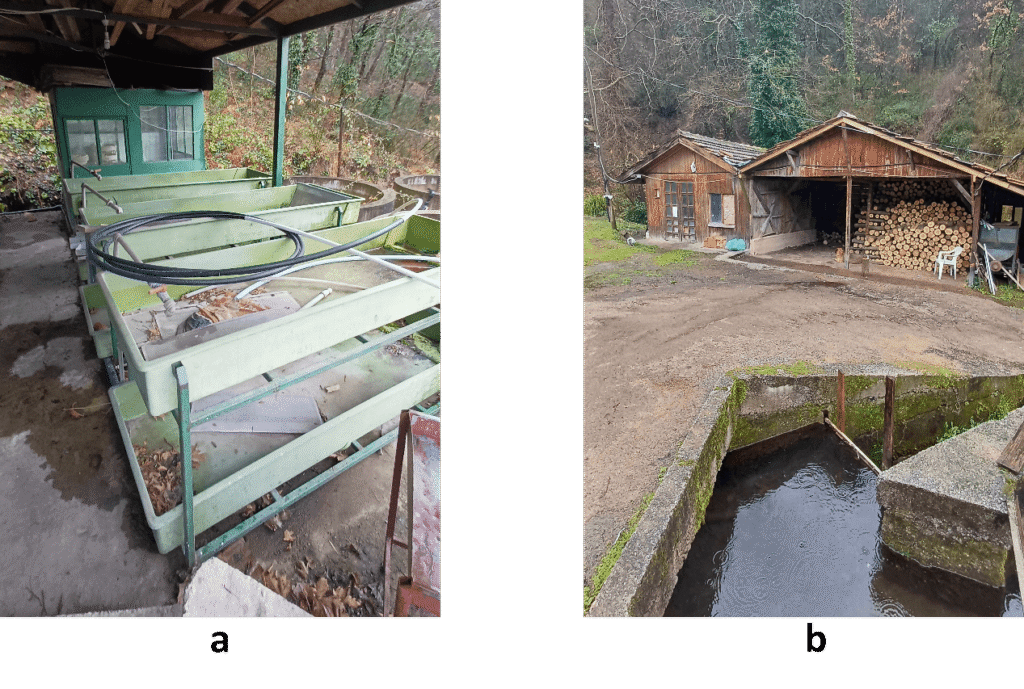 Figure 7 a. hatchery area b. wood storage area