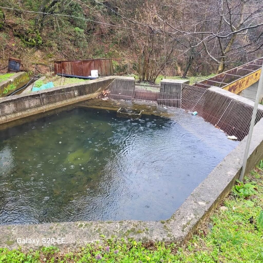 Figure 9. Sedimentation pond