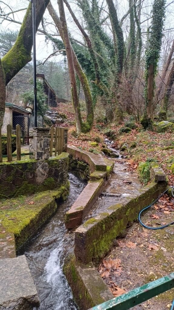 Figure 2. Inlet section of the Deliçay Spring water to the facility