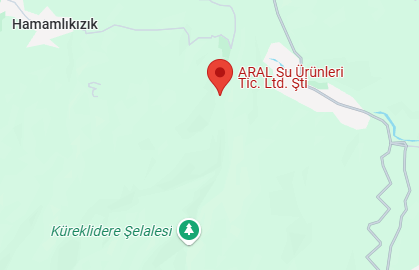 Figure 13.The map view of the Aral trout facility and küreklidere waterfall