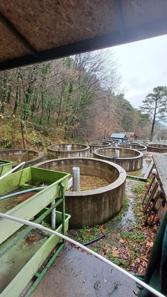 Figure 6. Incubation Ponds